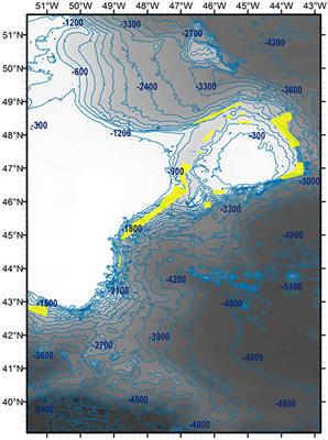 On the Influence of Vulnerable Marine Ecosystem Habitats on Peracarid Crustacean Assemblages in the Northwest Atlantic Fisheries Organisation Regulatory Area